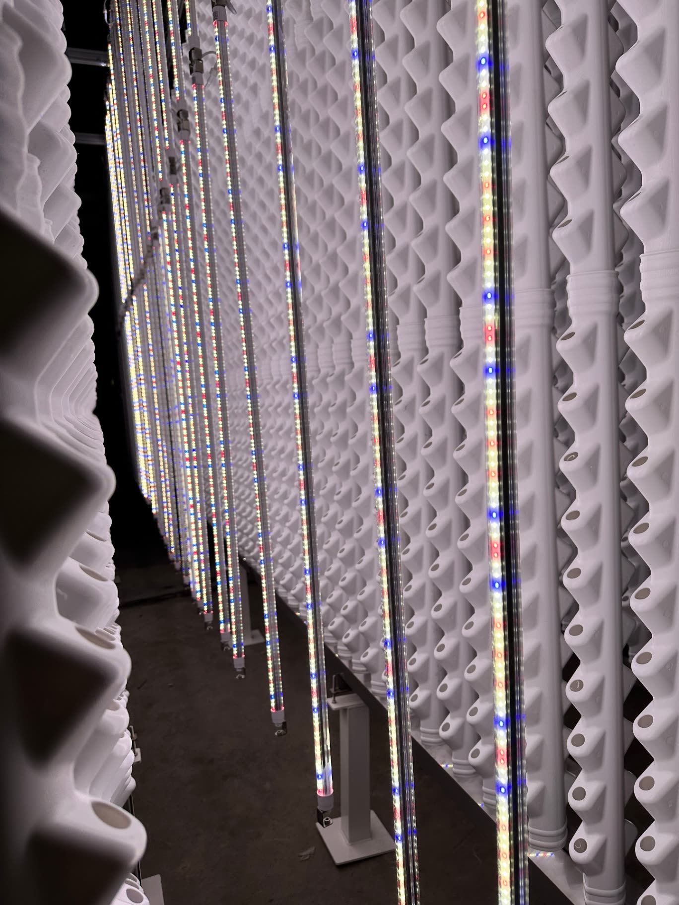 Vertical growing towers lit by full-spectrum LED bars inside a production hall